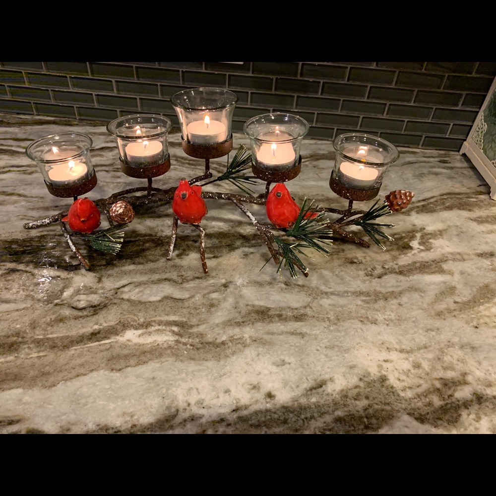 Pier1 cardinal candle holder